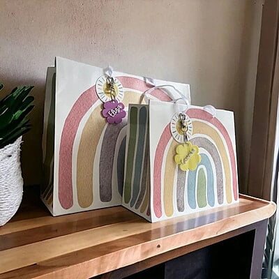 Medium Rainbow Gift Bag 23 cm
